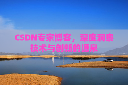 CSDN专家博客，深度洞察技术与创新的源泉